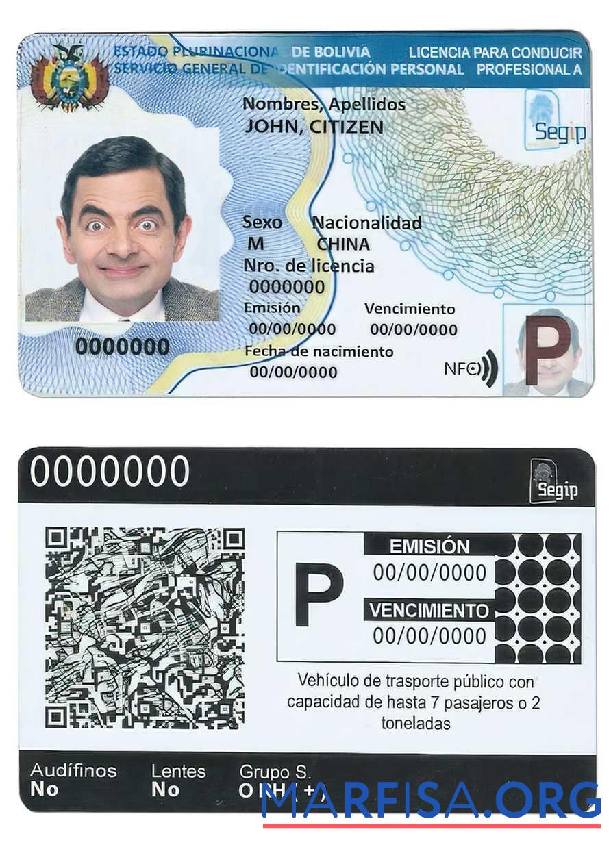Printable Bolivia driving license template (2017 – present)